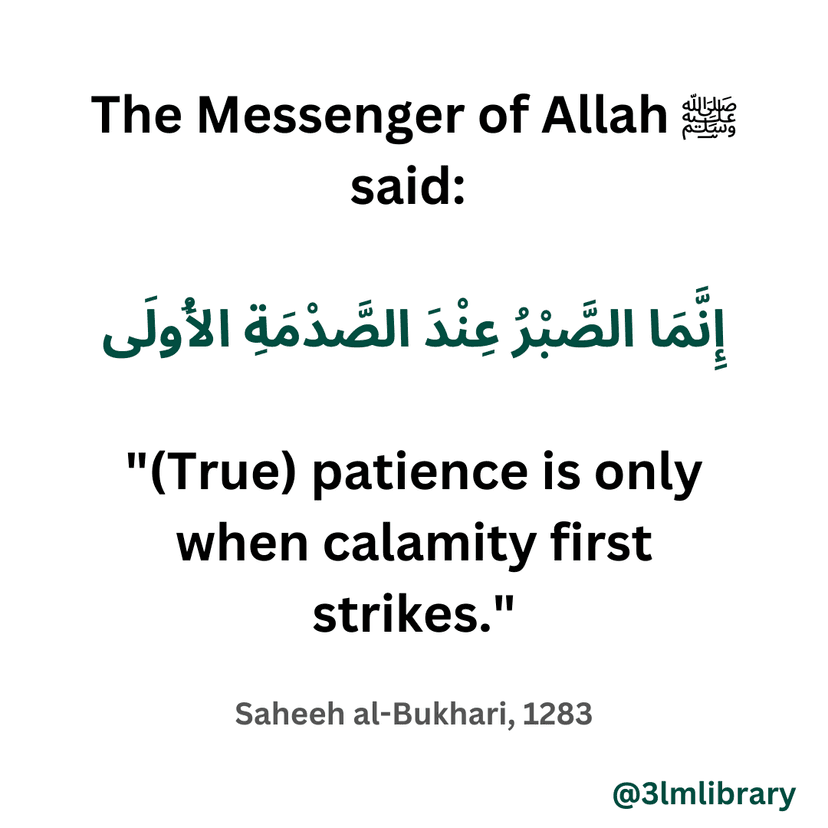 Prophet Muhammad (ﷺ)