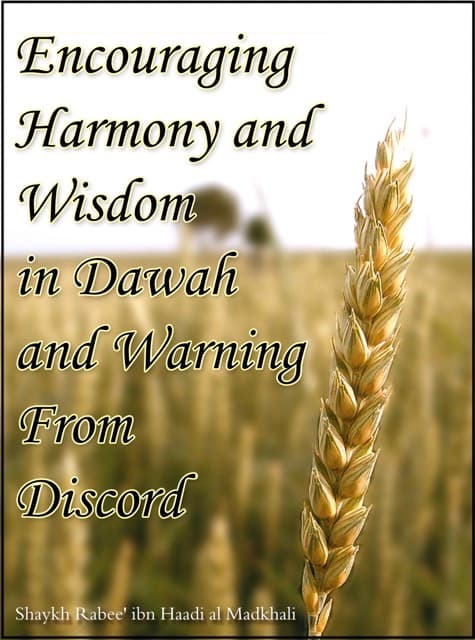Encouraging Harmony and Wisdom in Dawah and Warnings from Discord