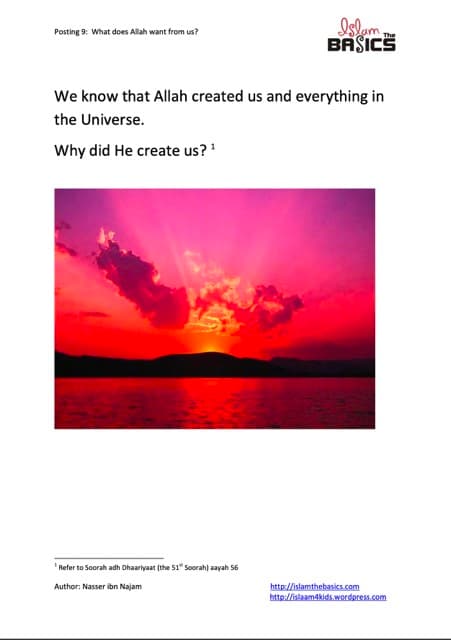 What does Allah want from us